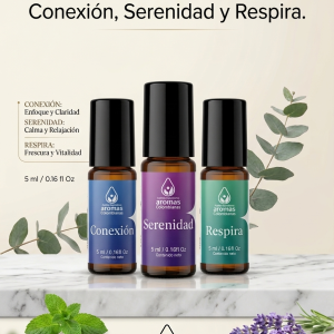 Kit Ejecutivo - Experiencia de Bienestar